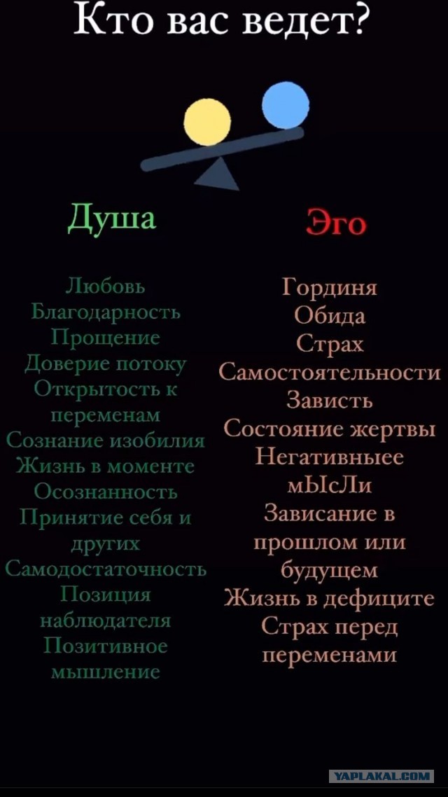Прикольные и просто красивые картинки 29.10.2024