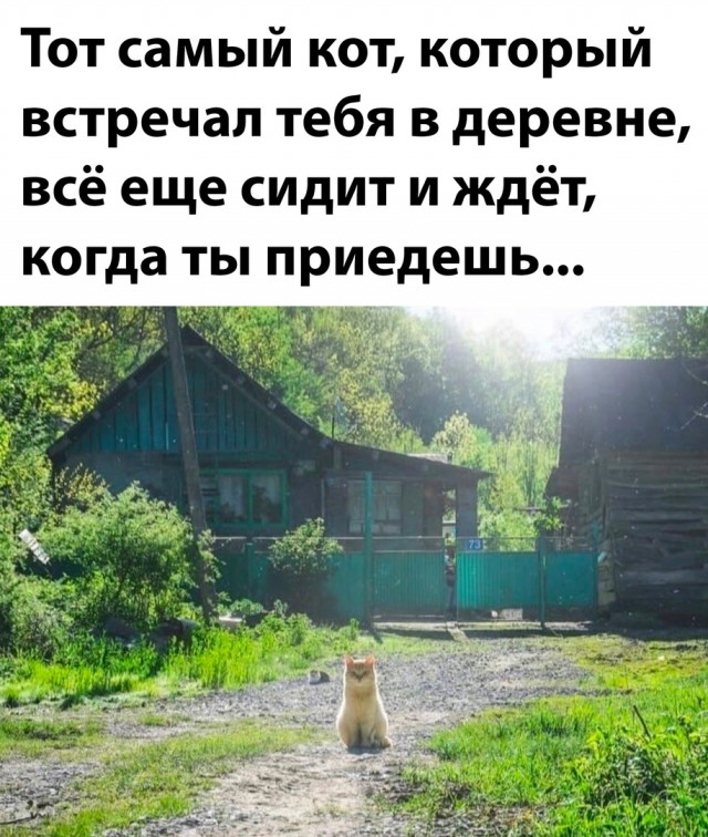 Картинки разные с надписями и без