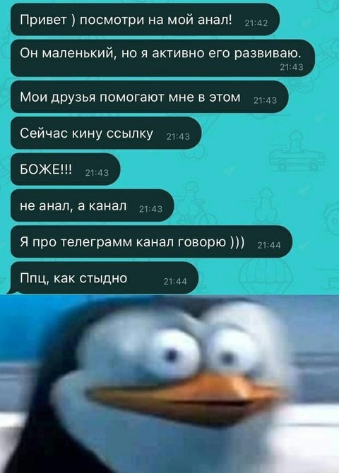 Так себе картинки 27.02.25