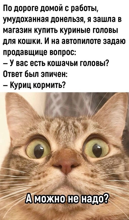 Так себе картинки 24.03.25