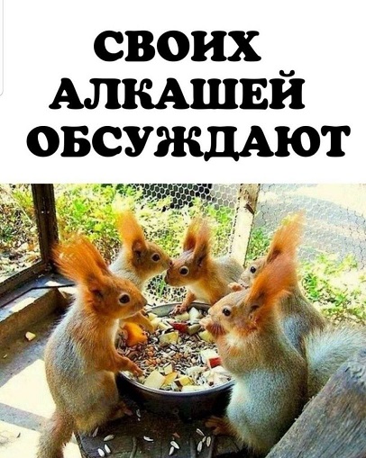 Папа, а кто такой диктатор?