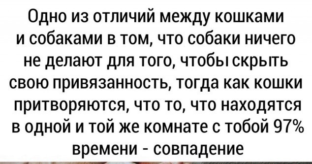 Так себе картинки 07.10.25