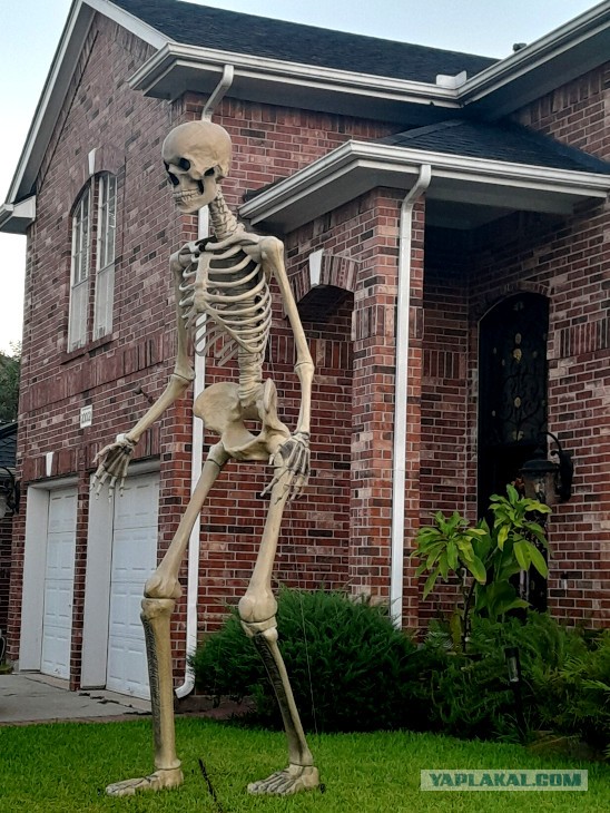 Техас готов к Хэллоуину