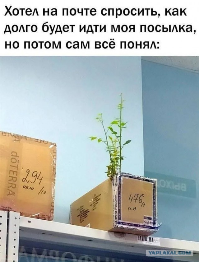 Наскрёб с древней флешки картинки.