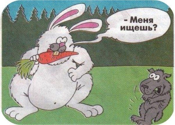 Картинки для деградации 131 (разной степени свежести)