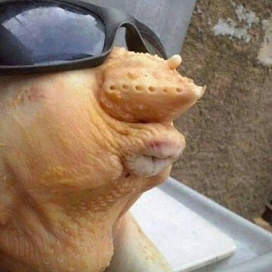 Просчитались... Но где?