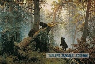 Три мифа о выживании в лесу, которые могут стоить жизни