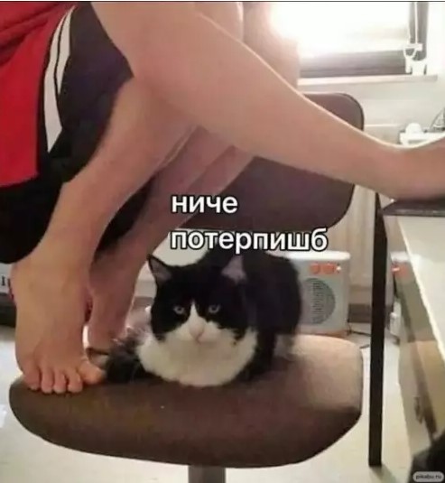 Котямбосы
