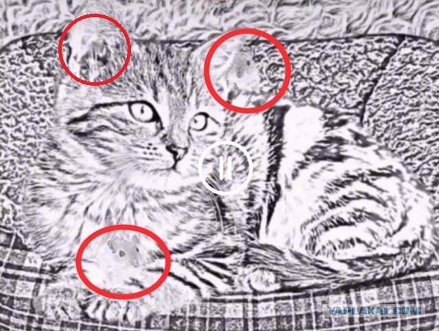 Тест на деменцию