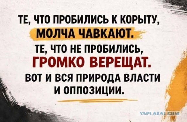 Картинки для деградации 192 (разной степени свежести)