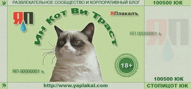 Как подруга носками зад вытирала