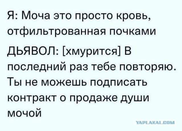 Картинки на среду