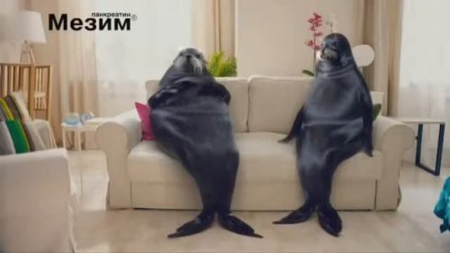 Настоящий джентльмен