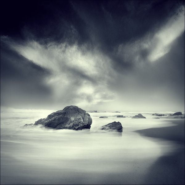 Градации серого (9 фот)