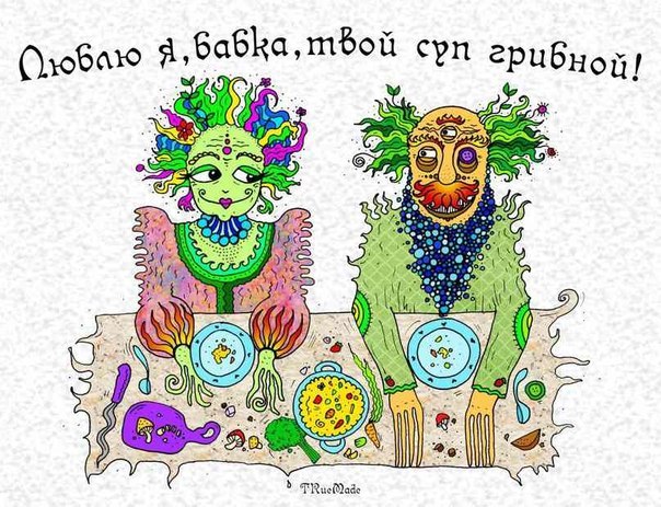 Не всем грибы одинаково полезны!