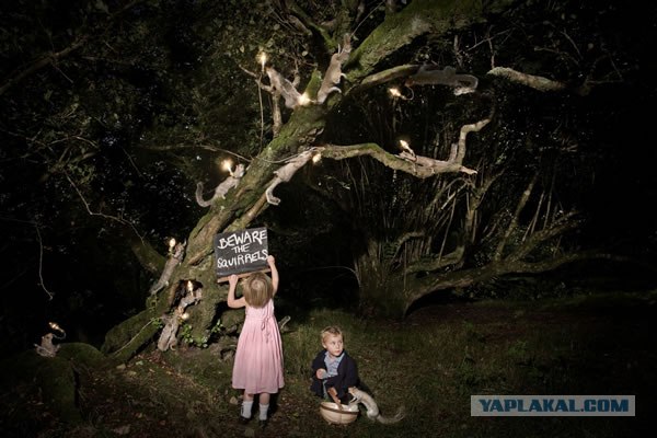 Sony World Photography Awards 2010