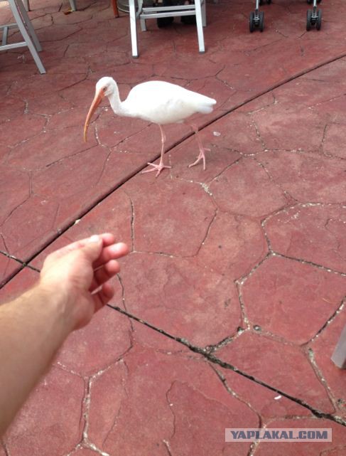 Поездка в Miami