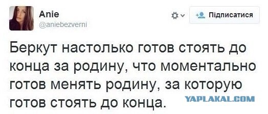 Беркут.