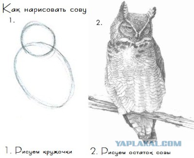 Варим пиво дома.