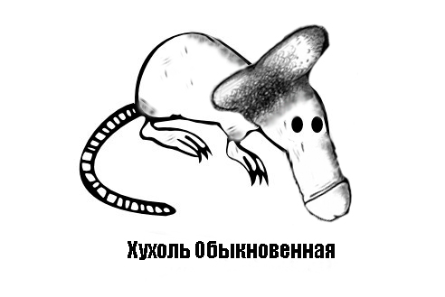 Классификация выхухолей
