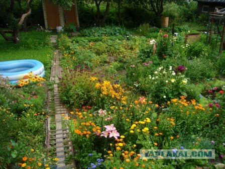 Хочу на дачу