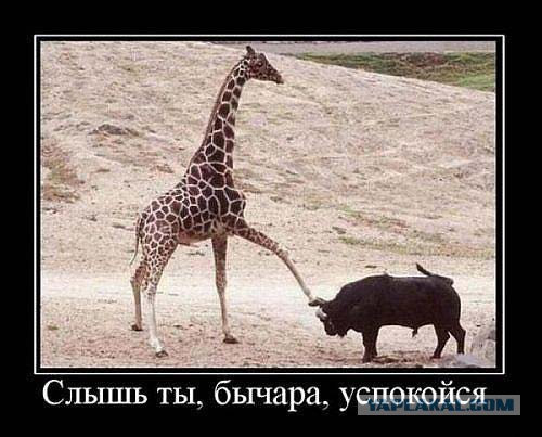 Дальневосточный федеральный округ
