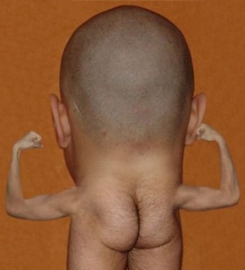 Второй день лета в картинках