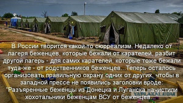 Разжижение мозга укропов достигло апогея.