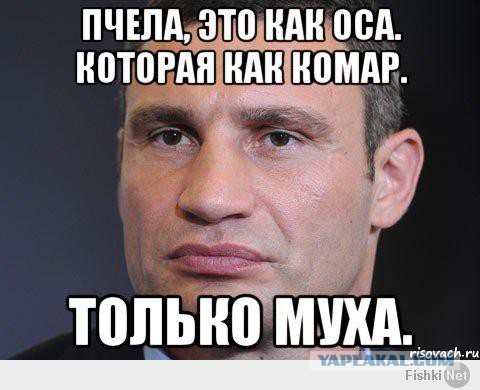 Кличко: опять Россия виновата!