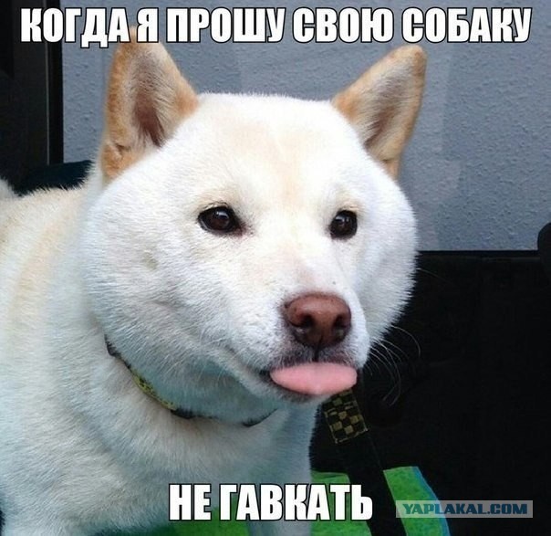 Поднимаем настроение