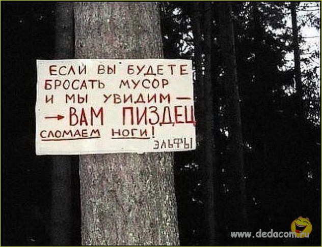 Смешные комментарии из соц сетей