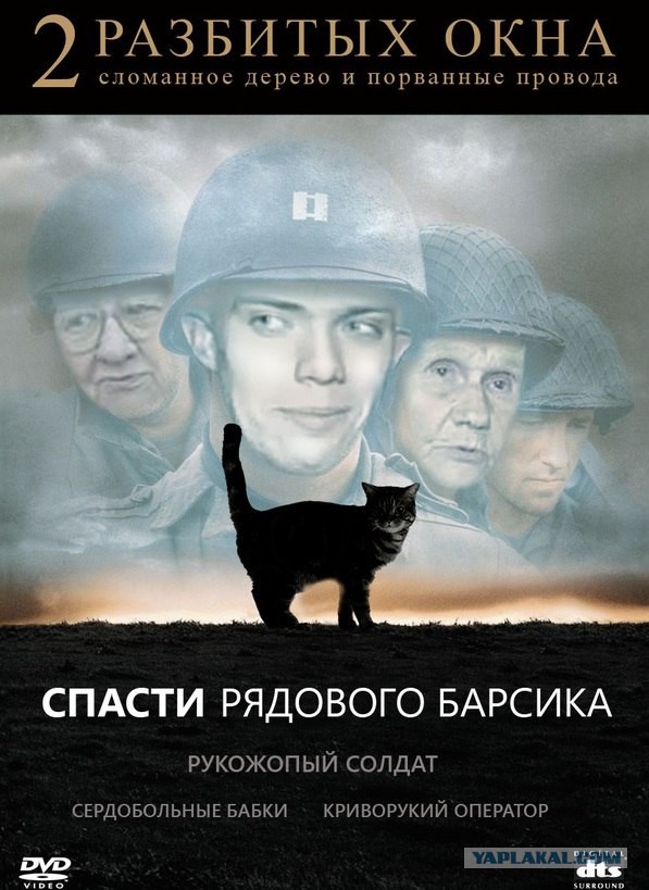 Спасение кота