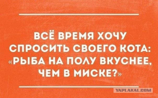 Весёлое из сети