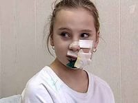 Терпение лопнуло: жители Петербурга, устроили расправу над догхантерами