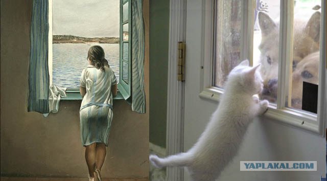 Коты и искусство