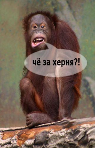 Минфин: Россия предоставит Украине $13,7 млн