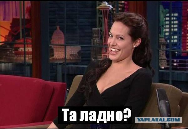 Вездесущий ветеринар