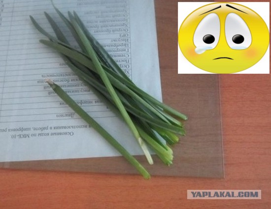 Один день фельдшера в далекой северной деревне.