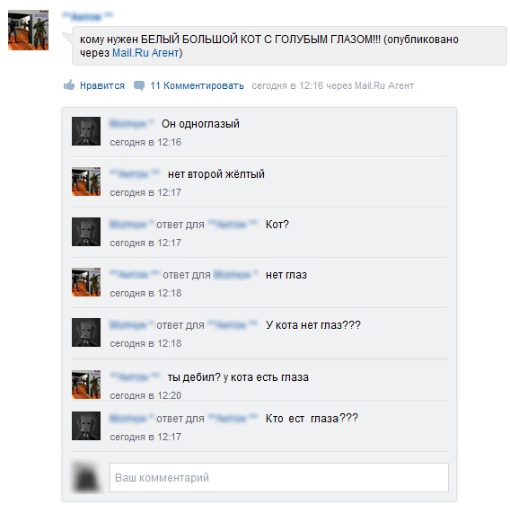 У кота нет глаз