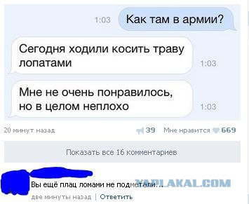 Смешные комментарии 30.08.2015