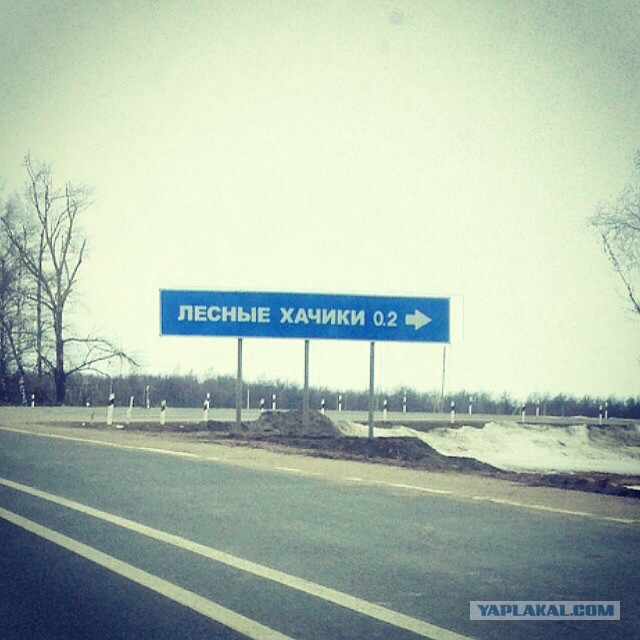 Весёлые картинки