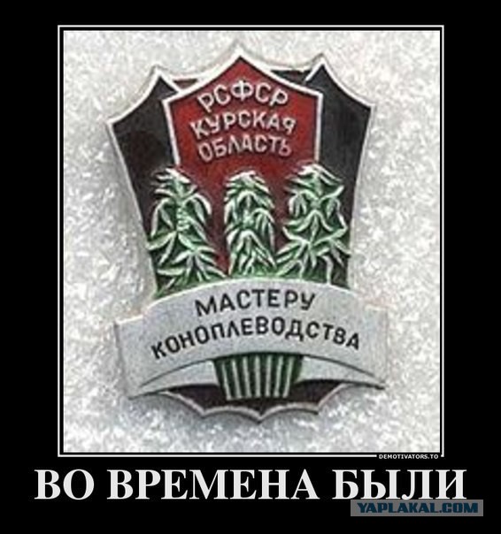 Про траву.