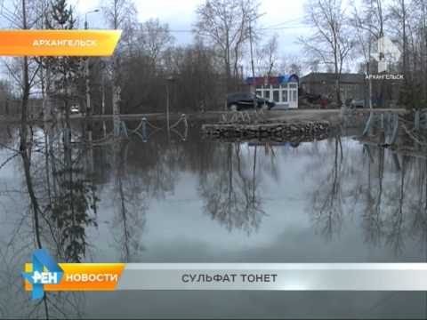 Россияне разных сортов