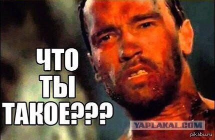 Есть ли жизнь (работа) после 40?