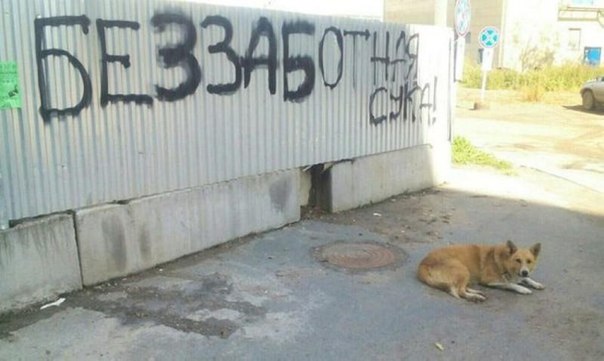 Картинки на утро вторника