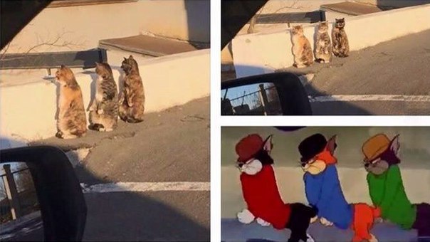 Ужасы и приколы из соцсетей 18+