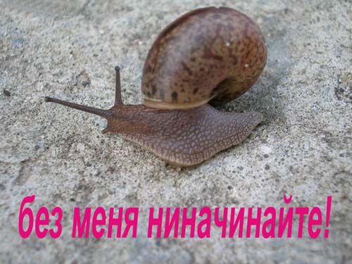 Уже да :) Ужо пятнецца...