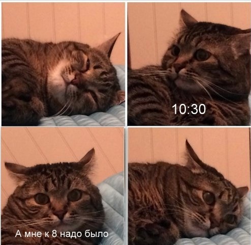 Абсурдный юмор ч.14