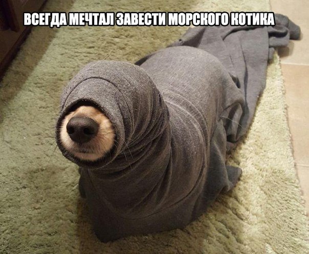 Картинки из сети