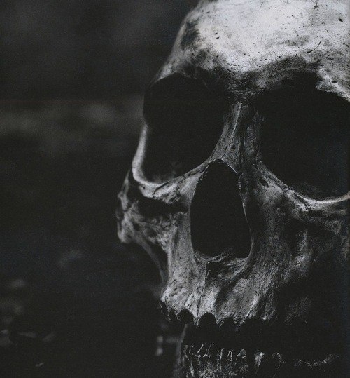 Подборка картинок из сети